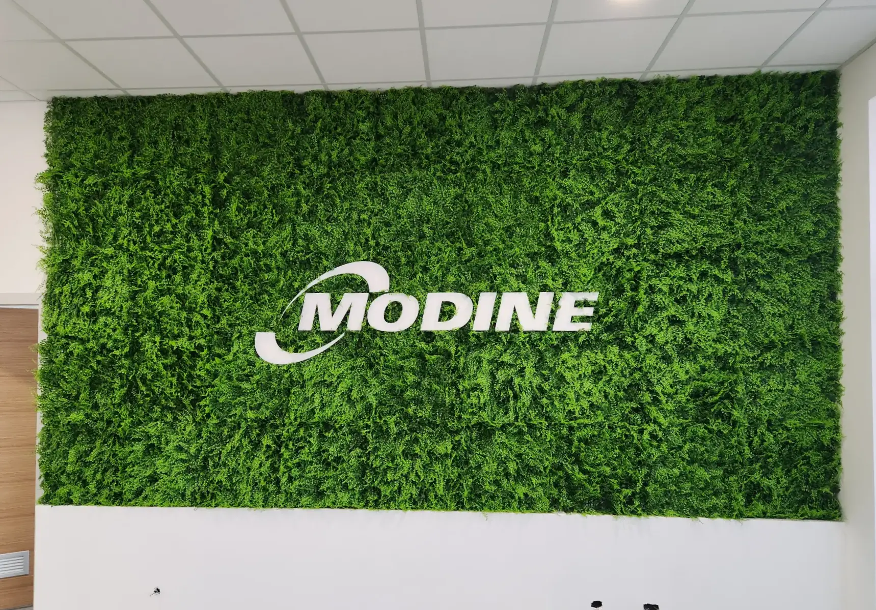 Zeleni Zidovi Vertikalne Baste